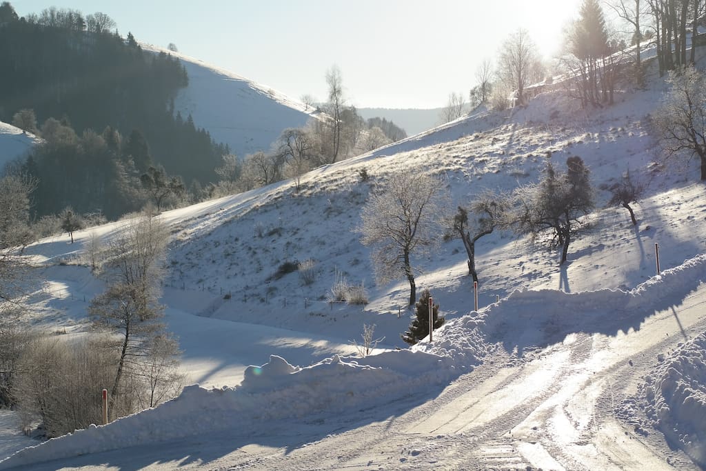 Winterwonderland direkt vor der Haustüre.