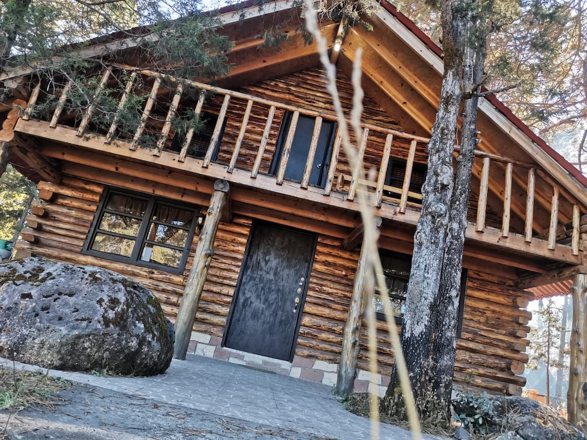 A rustic cabin is framed by tall trees, showcasing wooden log construction. The entrance features a sturdy door flanked by large windows. A natural stone sits prominently on the pathway leading to the door, blending with the surrounding environment.