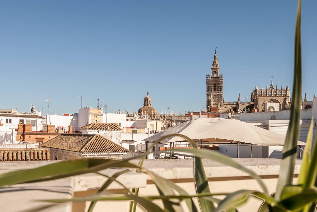 Rooftop terrace views