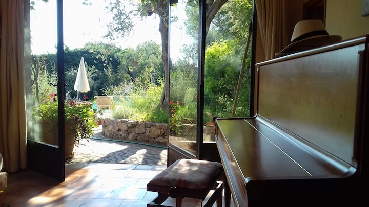 Një ajër i vogël në piano...