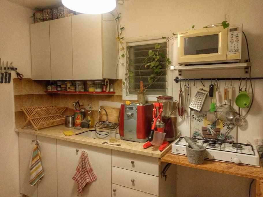 A nice green friendly Kitchen