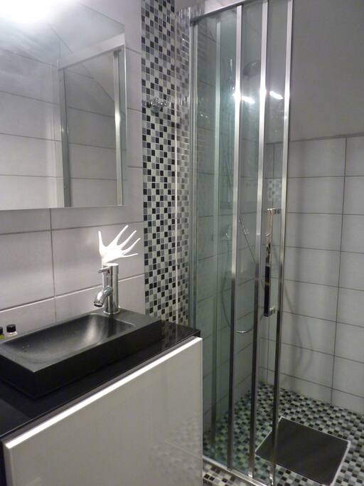 Salle de douche + WC