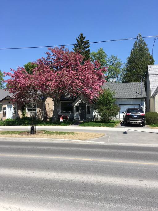 The front of the house. Spring 2018