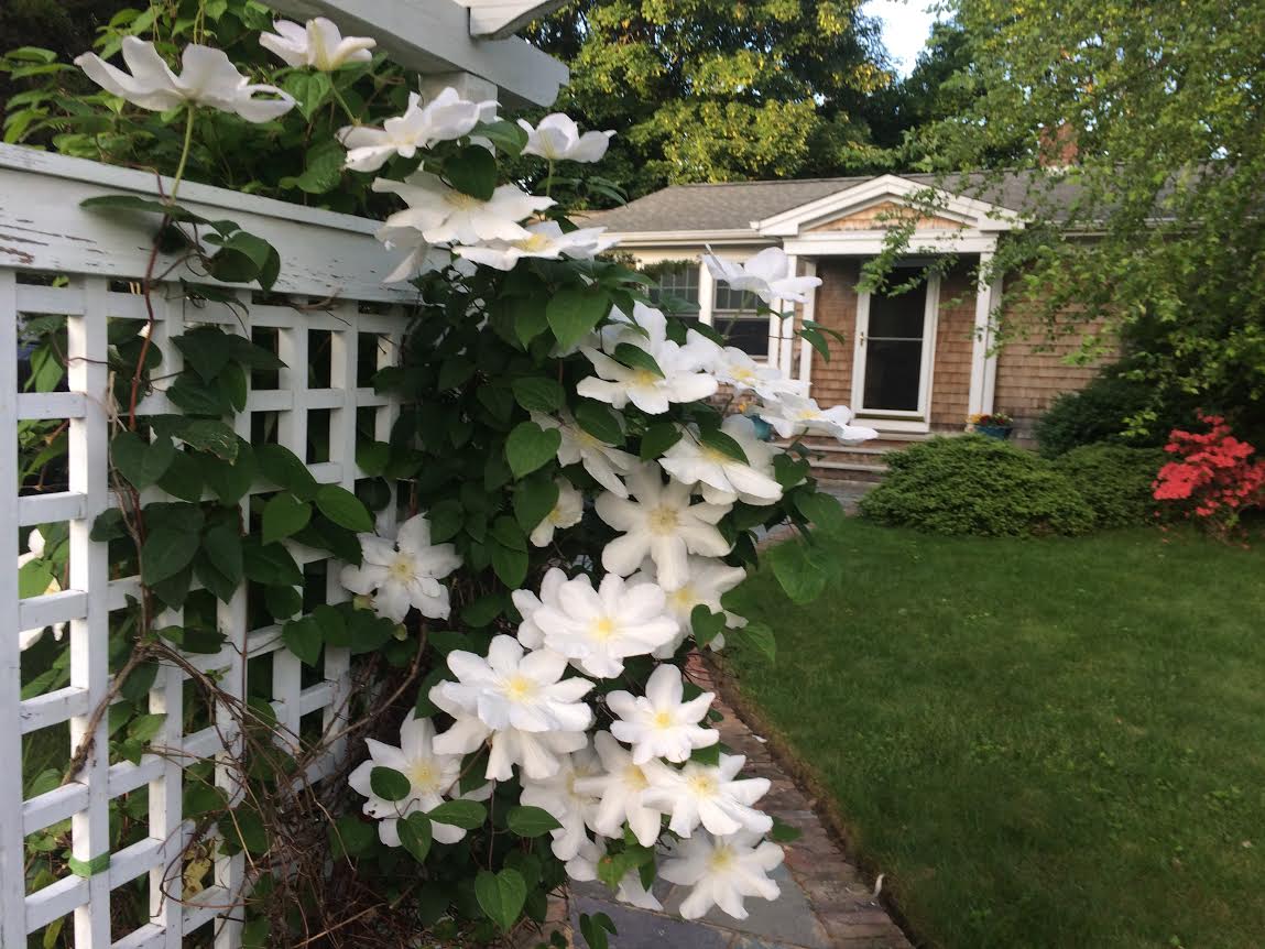 Rhode Island Vacation Rentals Homes United States Airbnb