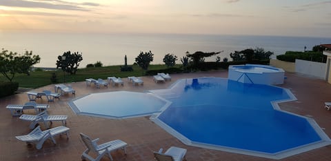 Top Airbnb: MARASUSA floral Camelia a Parghelia