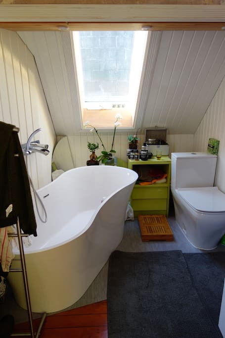 Ensuite bathroom (loft style)