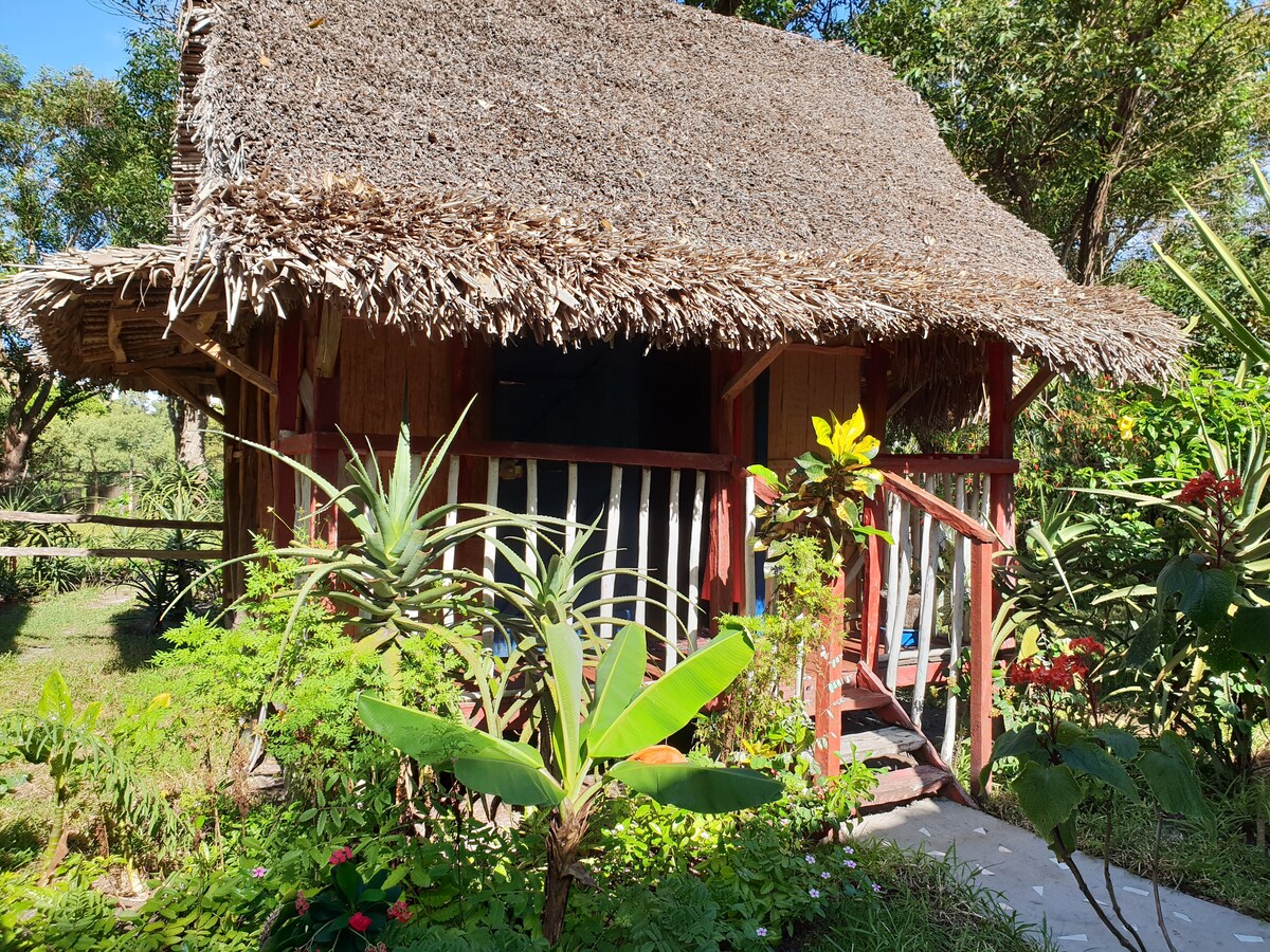 A thatched-roof bungalow is nestled among lush greenery, featuring a wooden porch with a railing. Colorful plants surround the entrance, creating a natural and inviting atmosphere. The blend of foliage and the rustic structure contributes to a serene setting ideal for relaxation.
