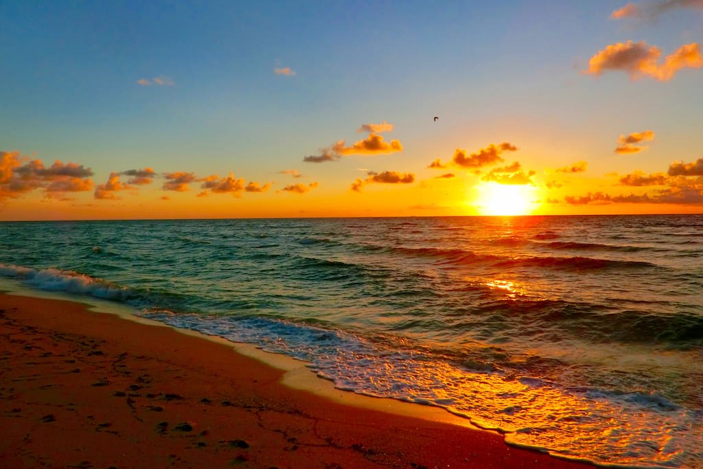 This is the beautiful view from the beach
