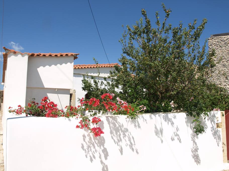 Front of the house