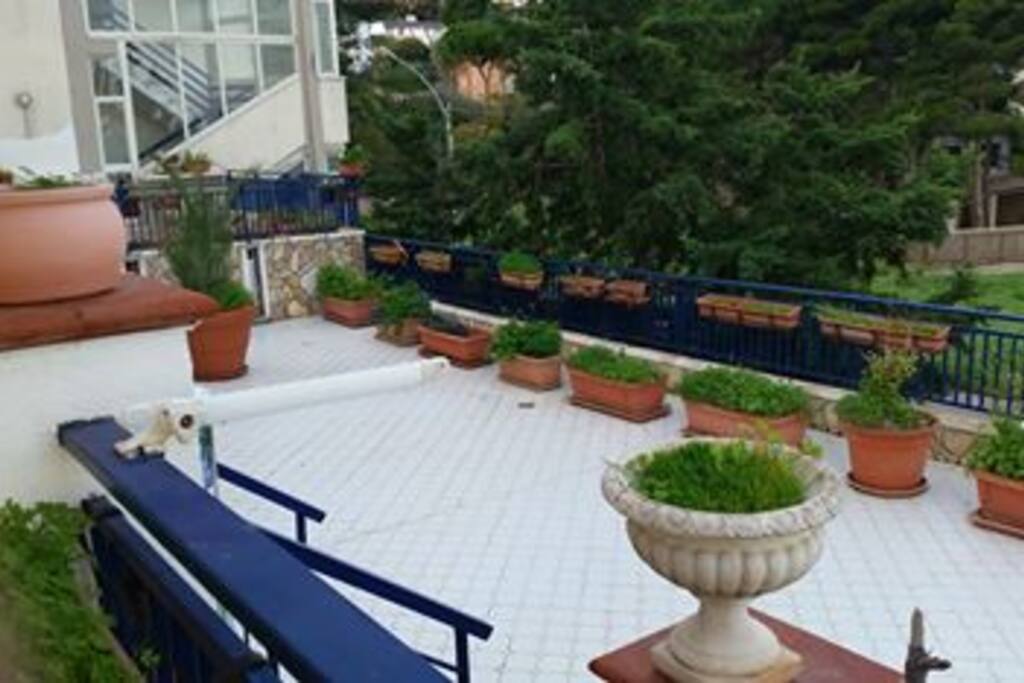 terrazzo