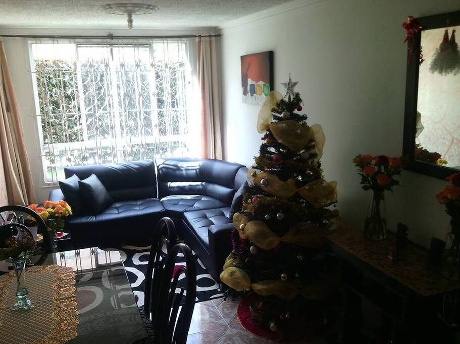 APARTAMENTO BIEN UBICADO CERCA A ESTACION TRANSMILENIO LA CAMPIÑA, SECTOR MUY TRANQUILO, CONJUNTO CERRADO, PARQUE PRIVADO, PRIMER PISO BIEN ILUMINADO , CITOFONIA, SERVICIOS AGUA, LUZ TV DIGITAL, WIFI, GAS NATURAL, DUCHA DE AGUA CALIENTE, HABITACION CON CLOSET, ESCRITORIO Y CAMA SENCILLA.