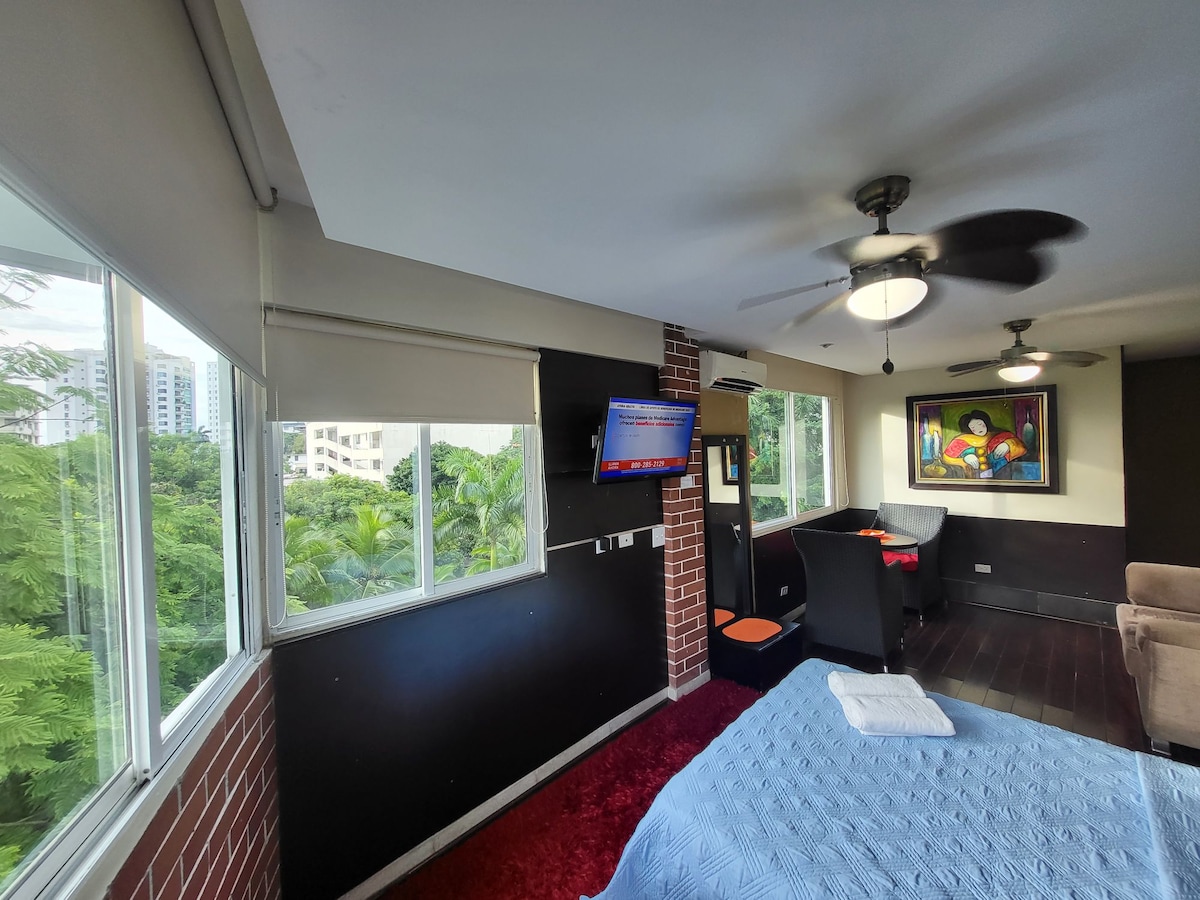 R.1113 Beau studio privé, zone touristique. - Condos à louer à Panamá ...