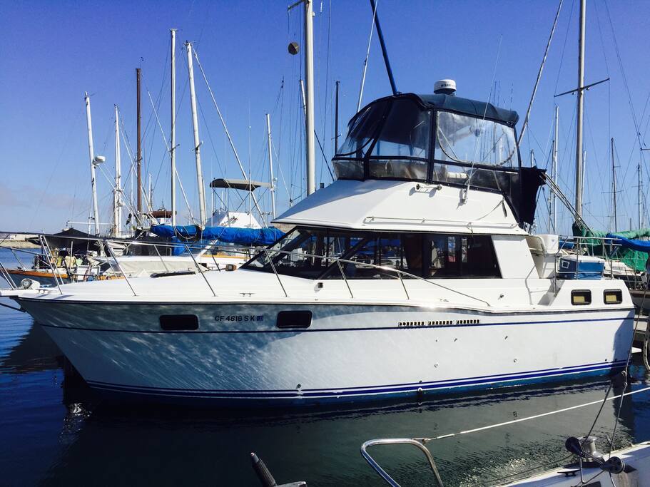 Ensenada singles cruises