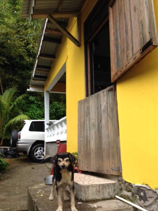 Front veranda and kitchen door