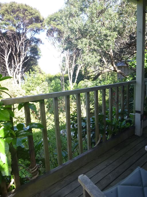 View from the front deck