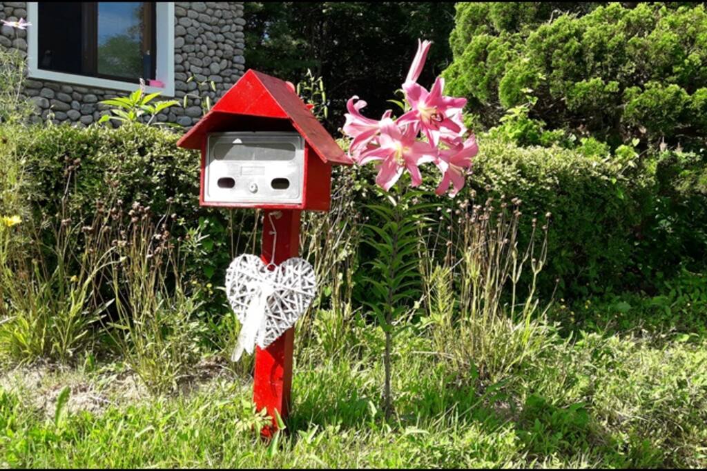 이쁜 백합향이 느껴집니다.