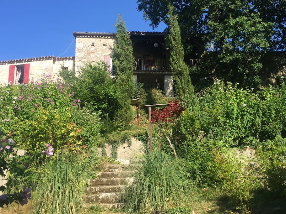 View of the house from the pool
