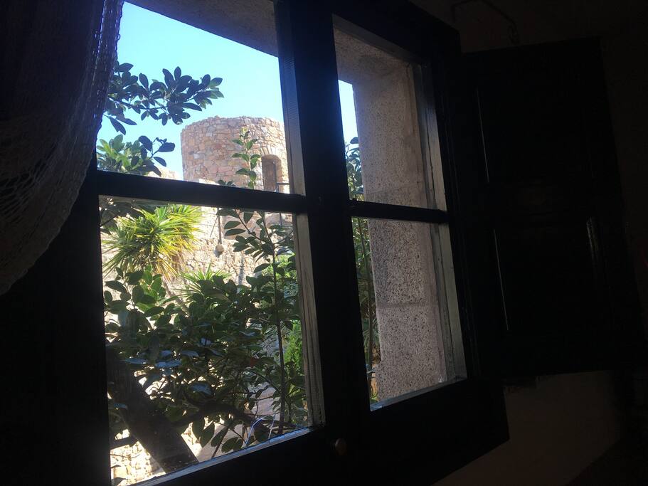 Kitchen view