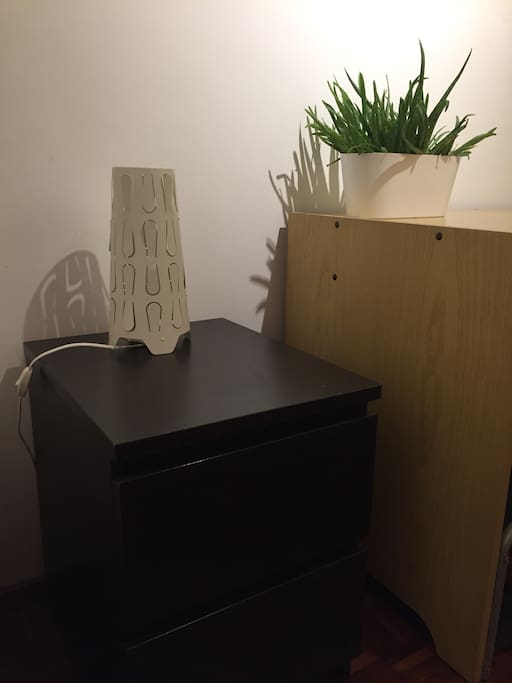 Mesa de cabeceira, candeeiro, mesa de trabalho e aloé vera.