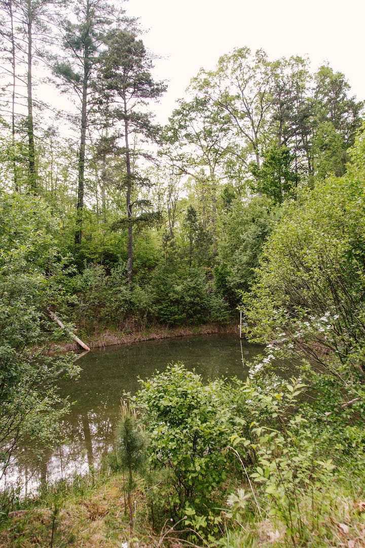 10 Best Airbnb Vacation Rentals In Fletcher, North Carolina Updated 2024 Trip101