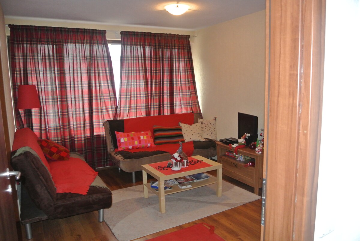 舒适的起居室，配有2张沙发床