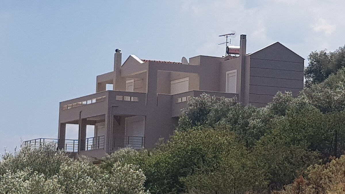 The villa's exterior is displayed, highlighting two levels with a spacious balcony. The structure is surrounded by lush greenery, and large windows provide natural light. A chimney is visible on the rooftop, complementing the modern architectural design.