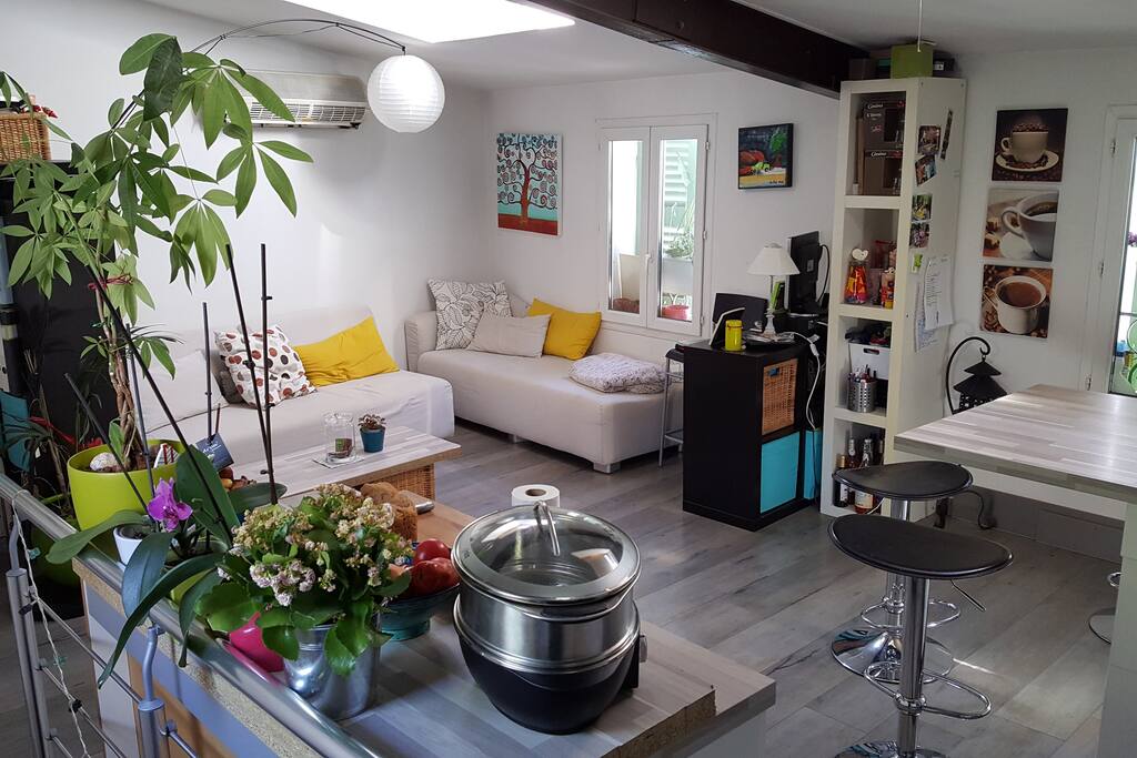 Coin séjour, 2 canapés lit si besoin