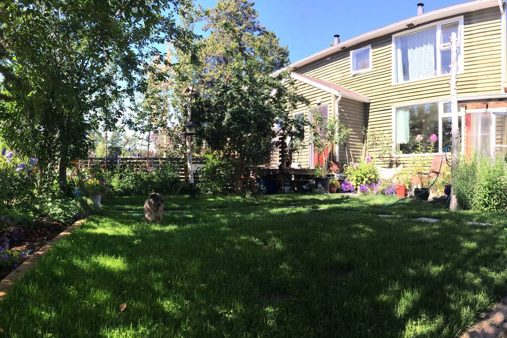 Front yard.