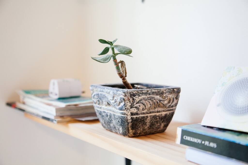 Shelf detail