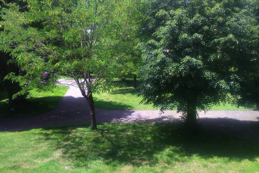 Le parc depuis le balcon