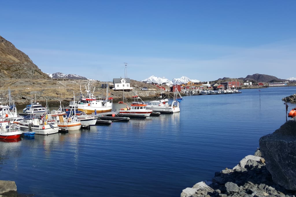 Nærområdet.