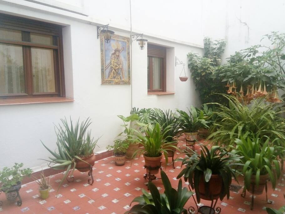 Outside patio down floor