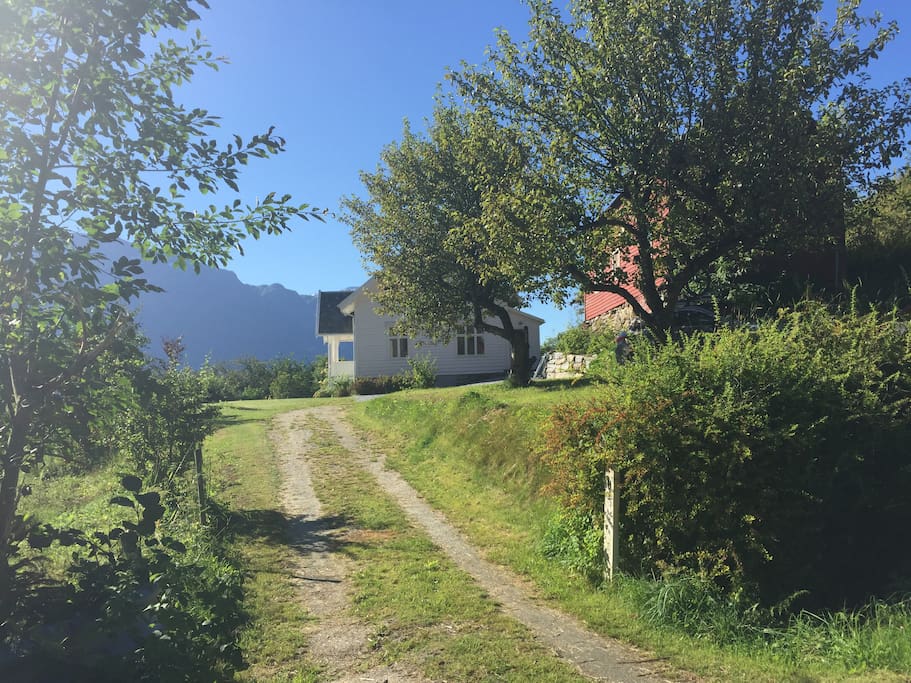 Romslig parkeringsplass til flere biler bak låven