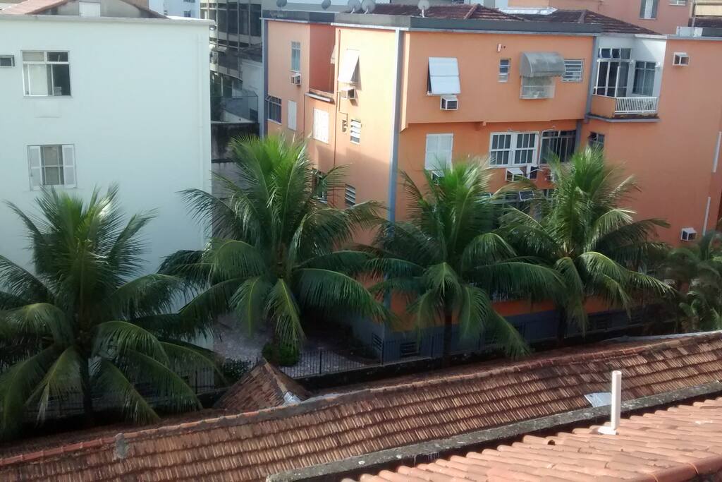 Room's view.
