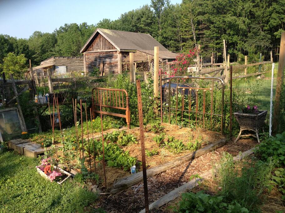 Spring garden, Horses Barns and Cabin