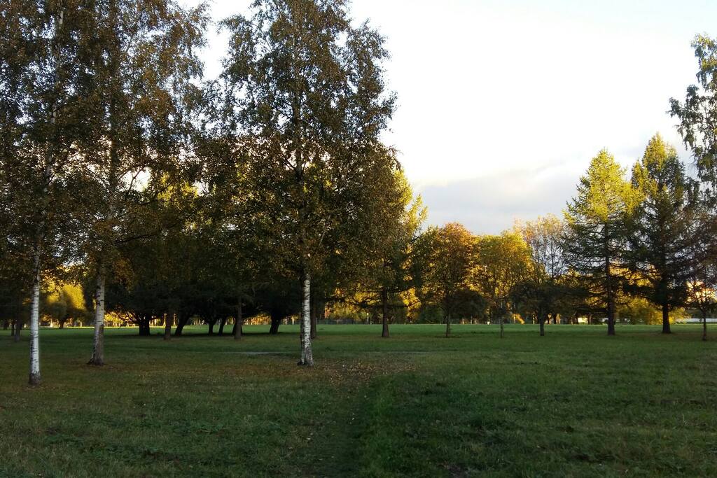 Сразу за домом парк