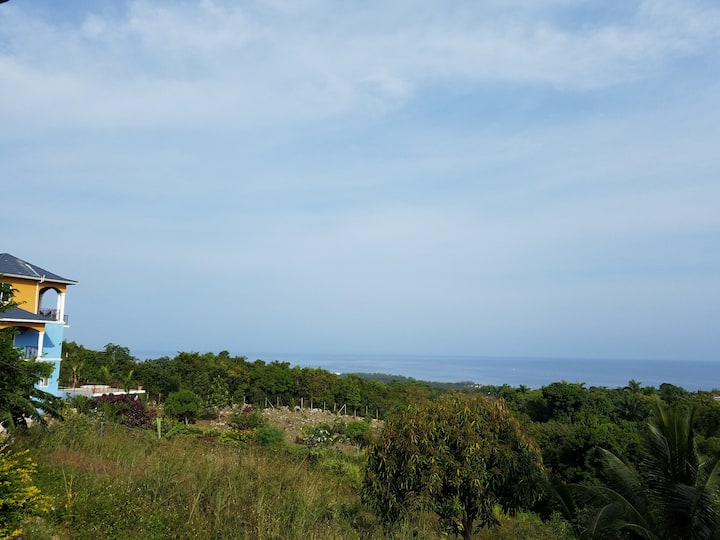 รูป ไม่พร้อมใช้งาน 1