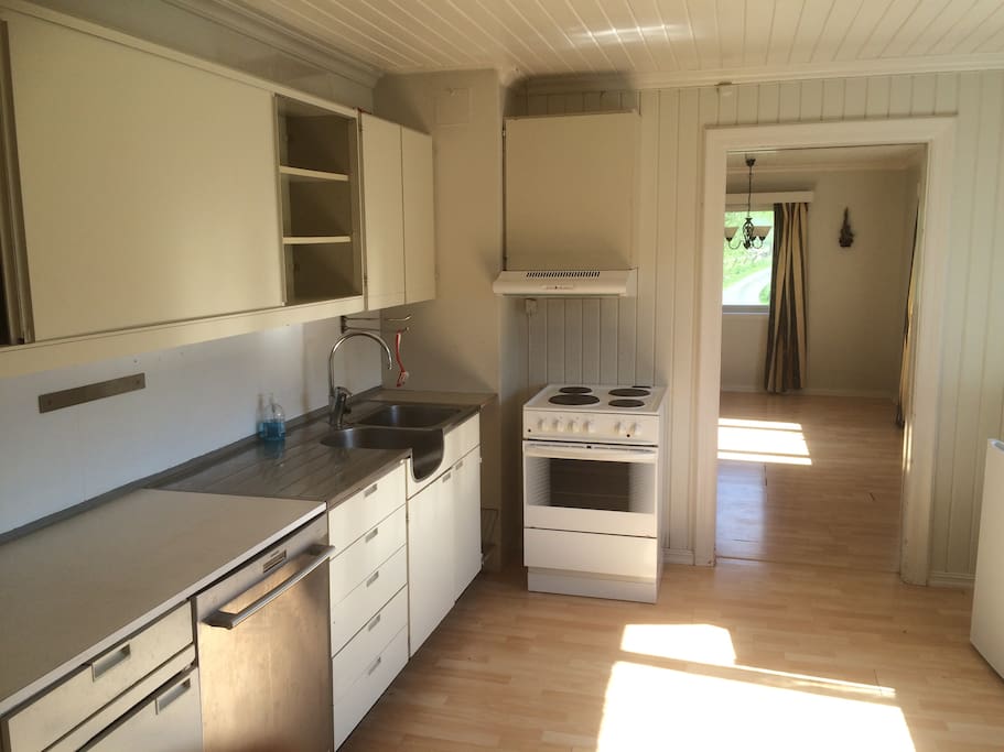 Spacious kitchen with dishwasher, fridge and stove.