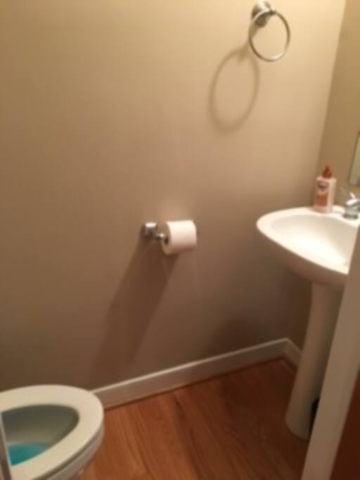 Half-bathroom located in the living/entry area.