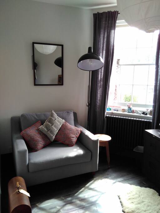 the study