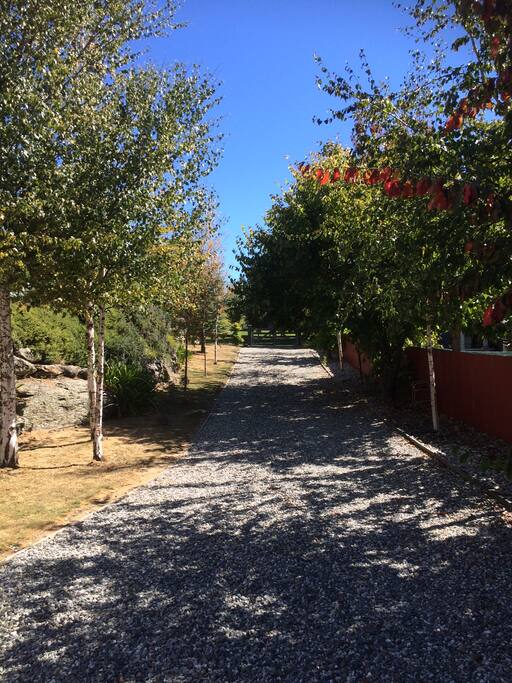 Your driveway