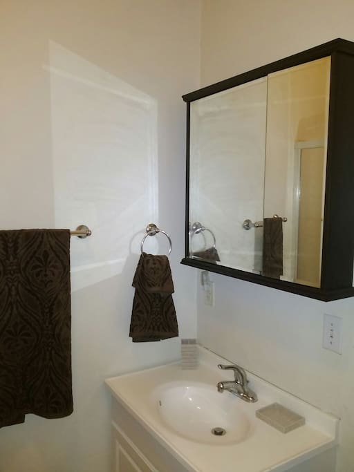 One side of sink area with plenty of space to store bathroom items behind mirrored cabinet.