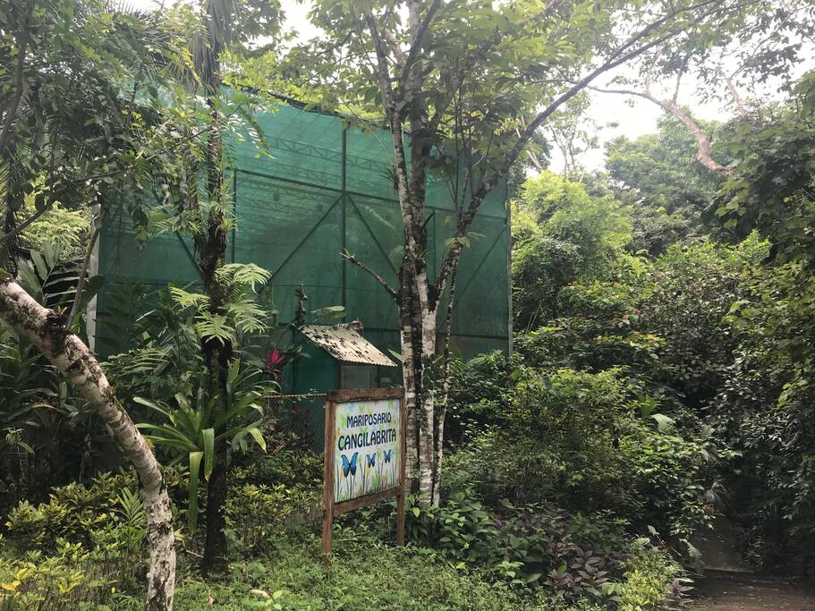 Mariposario