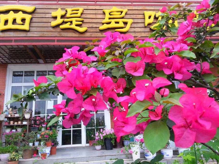大门入户花园