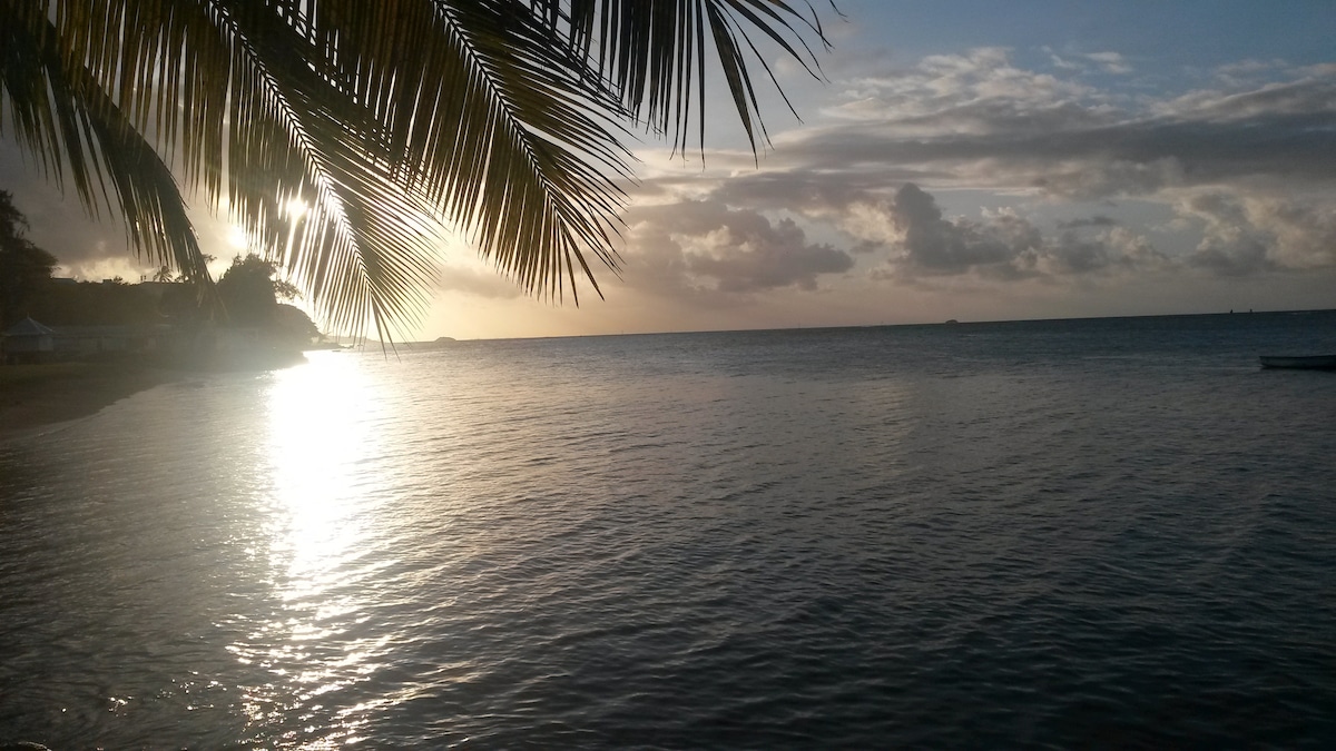 Calm waters reflect the soft light of a rising sun, creating a serene atmosphere. Palm fronds frame the scene, while a distant shoreline is visible against the horizon. The tranquil landscape invites relaxation and appreciation of nature.