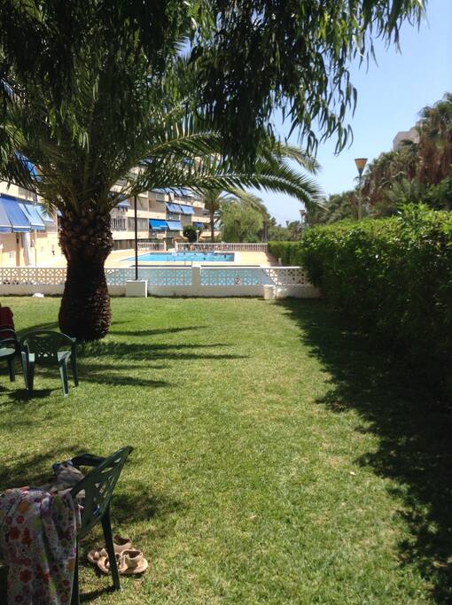 View of garden and pool area