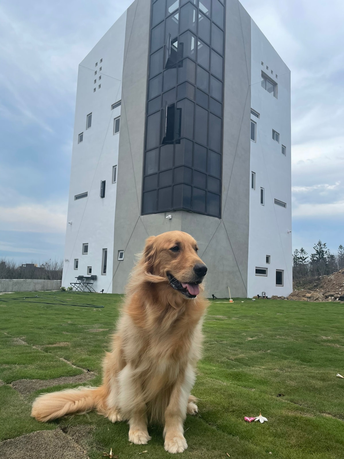 A large golden retriever sits on a patch of green grass in front of a modern, multi-story building. The white structure is accented with dark paneling and large windows, creating a striking contrast against the cloudy sky.
