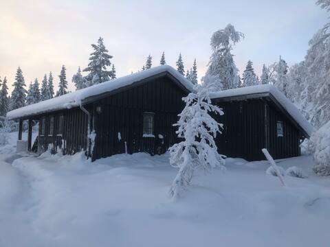 Cozy family cottage