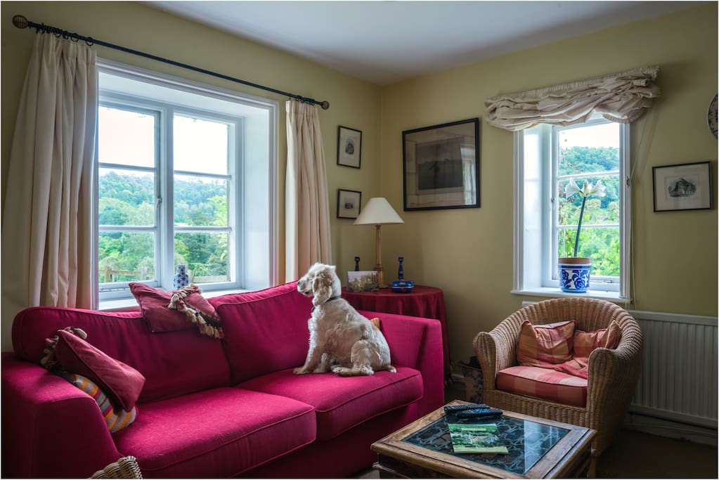 Marlings End is dog friendly!