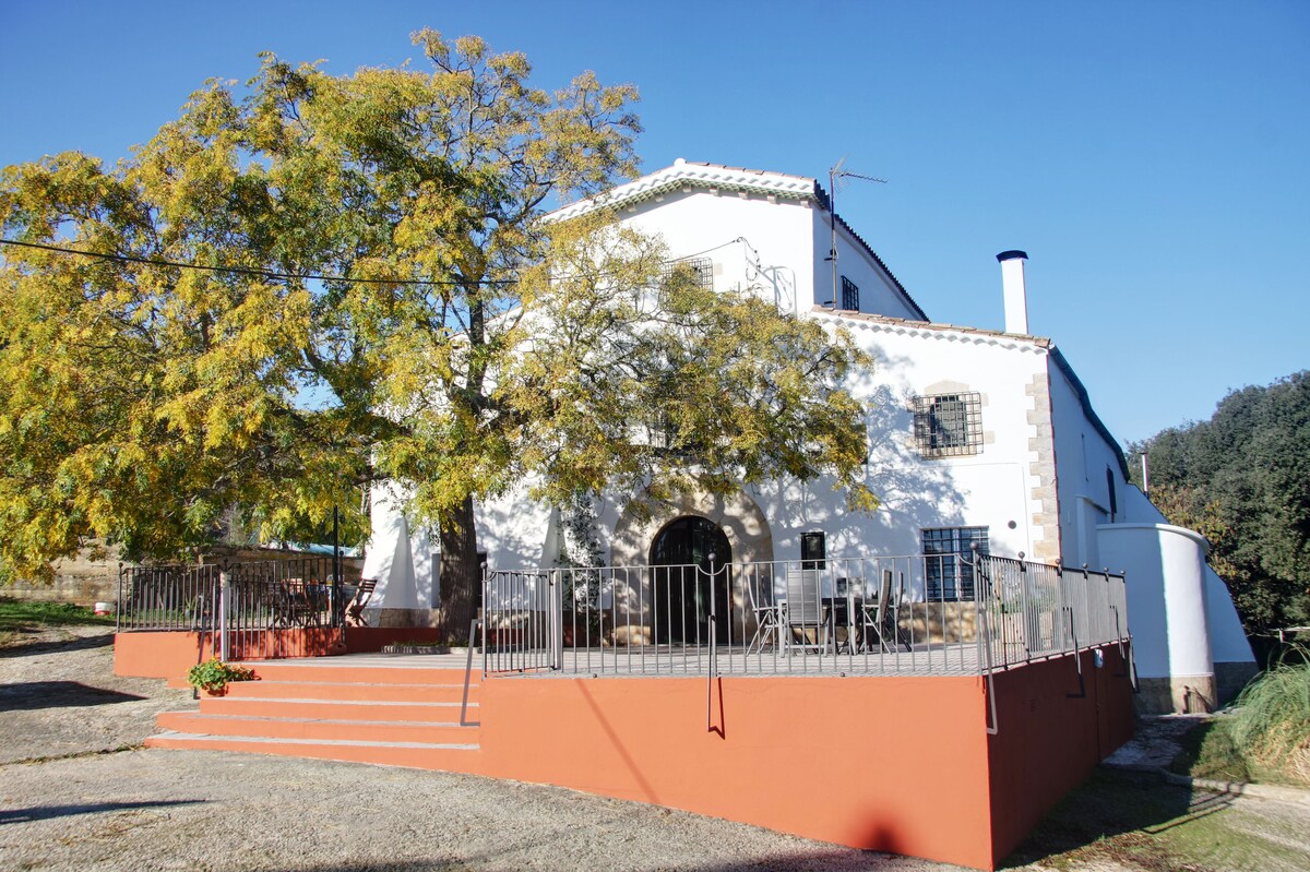 A traditional farmhouse is framed by a large tree, featuring a spacious terrace with a railing. The white exterior contrasts with the deep blue sky. Steps lead up to the entrance, providing access to an inviting outdoor area. Natural surroundings enhance the tranquil setting.